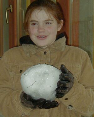 snow ball