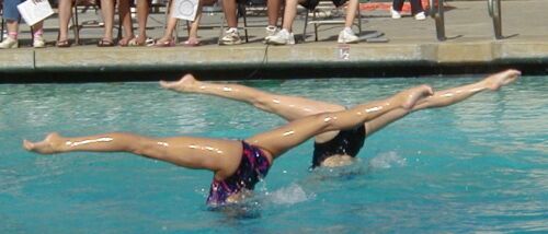 swimmers